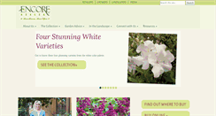 Desktop Screenshot of encoreazalea.com