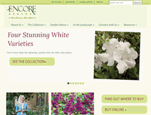 Tablet Screenshot of encoreazalea.com